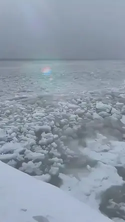 Michigan 
