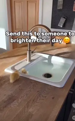 To brighten your day