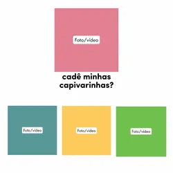 cadê minhas capivara
