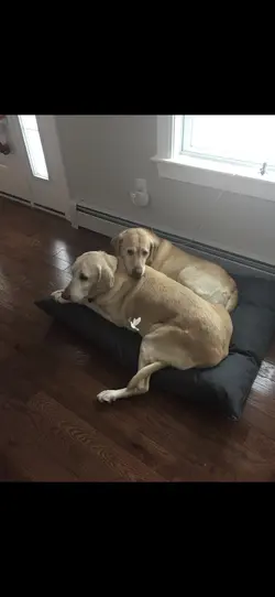 posting a barn vlog!