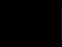 Wb logo
