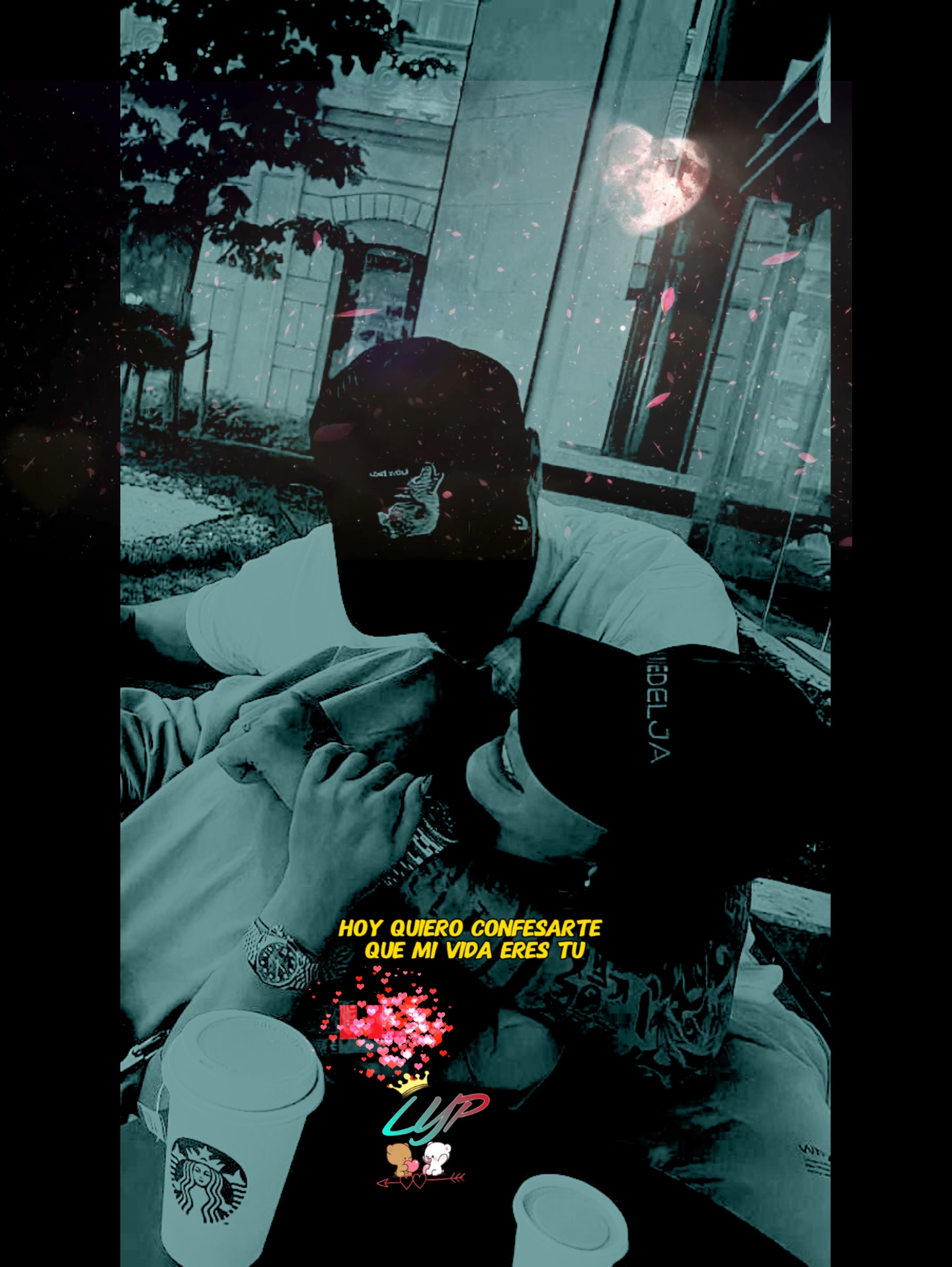 Cover Picture