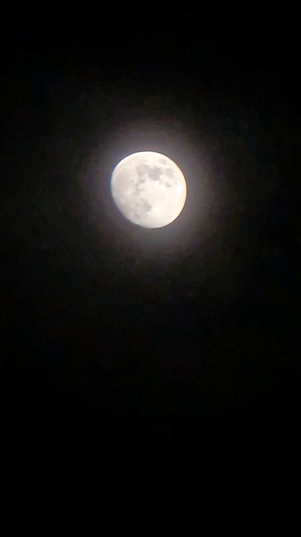 Citations de lune