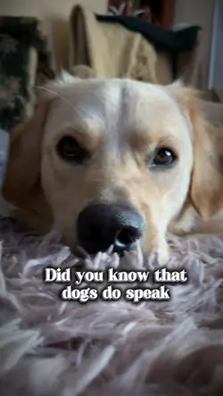 Do you listen?🩵💙