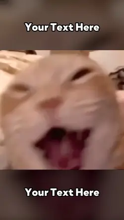 Laughing Cat