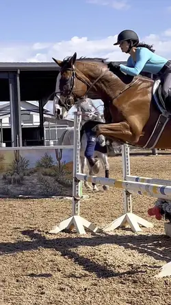 Equestrian slomo π«Ά