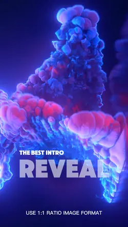 Reveal Best Intro
