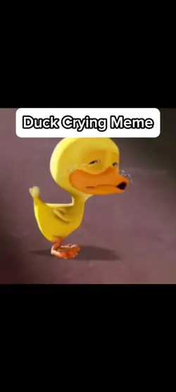 duck crying meme
