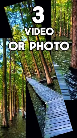 3 video or picture