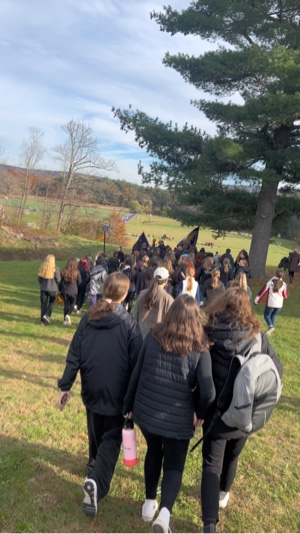 ship or dip?