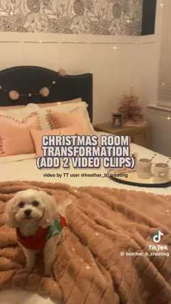 Christmas transition