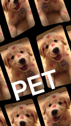 PET