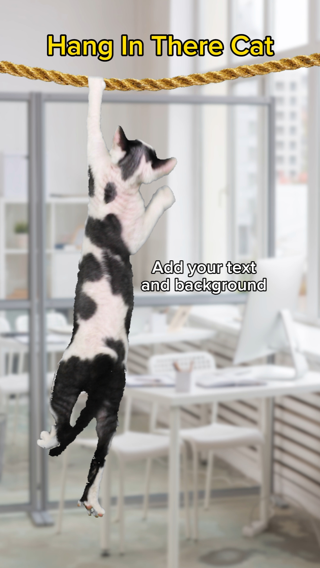 Cuelga Ahí Gato 