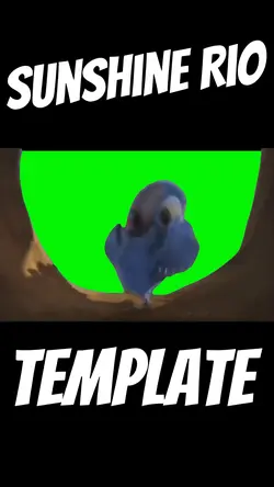 Sunshine Rio 