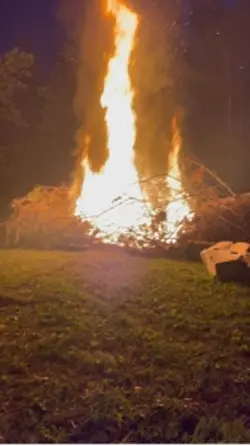 Average bon fire 🤷‍♀️