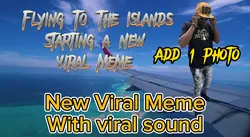 Stay Flie Viral Meme