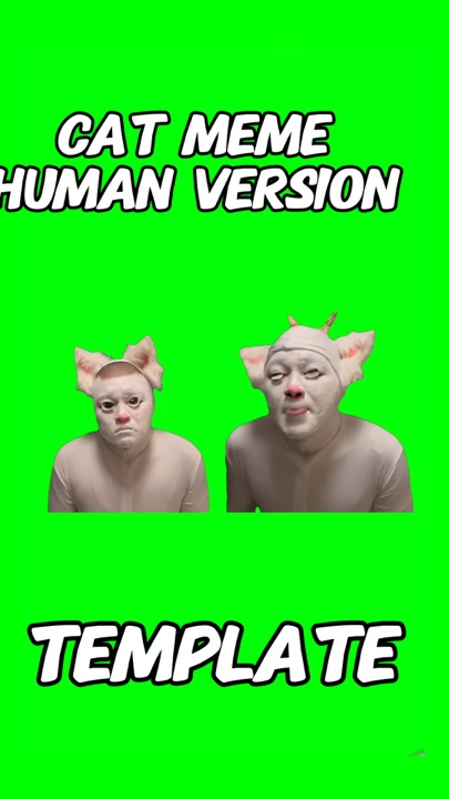 Cat meme Human Vers