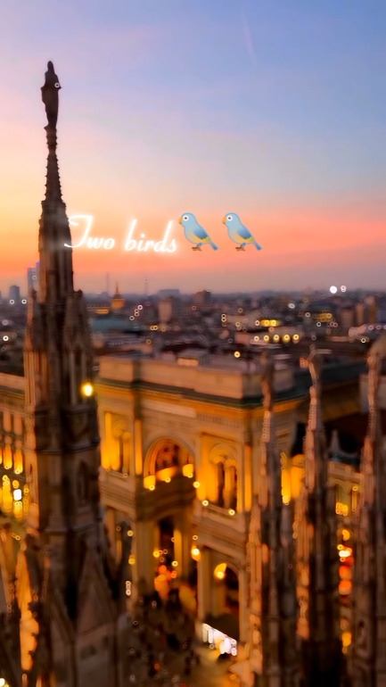 Two birds 