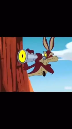 Mr.Lover Trend Music