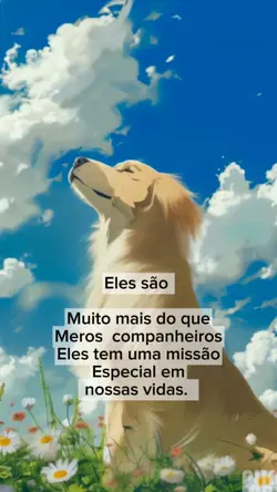 Melhor Amigo