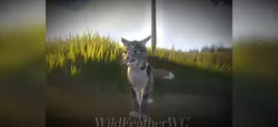 I’ll be StarClan