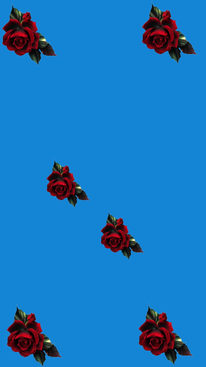 modelo novo fotos 