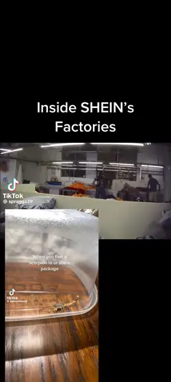 SHEIN Gifts