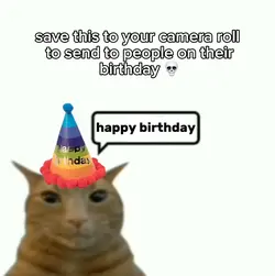 Cat bday