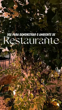 Vídeo restaurante 