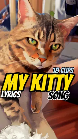 My kitty cat song