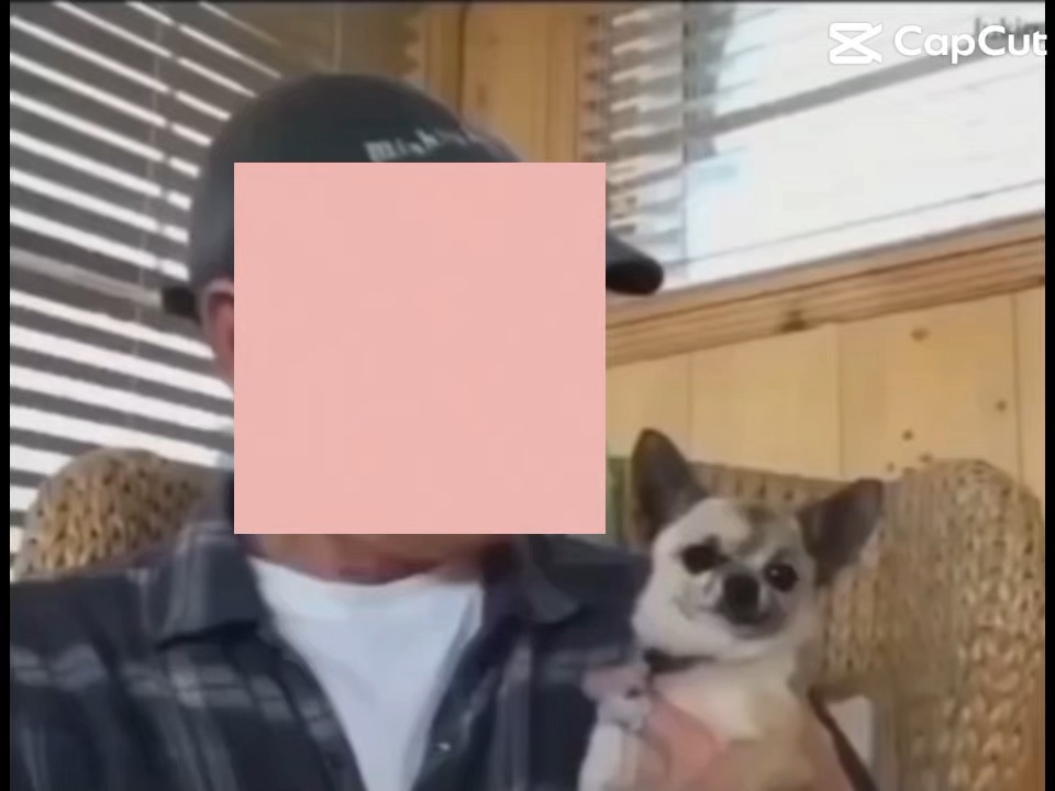 Ich lasse meinen Hund 🐶 