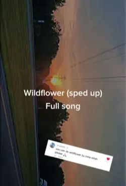 Wildflowe