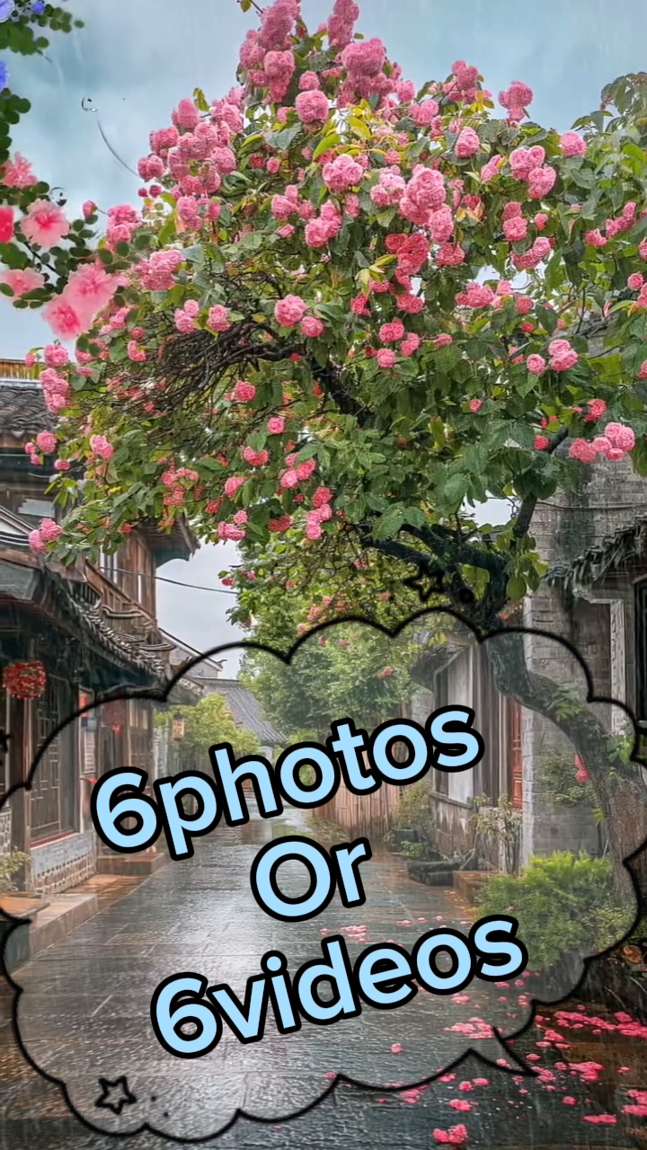 6 foto / video