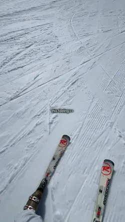 what ski content