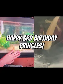 It’s been 3 years!