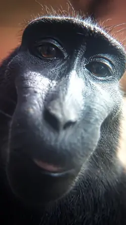 Rizzy free edit😍😍😍