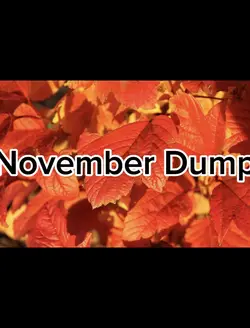 November dump 
