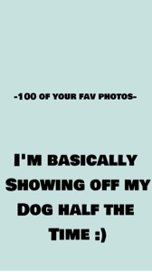 100사진 📸 