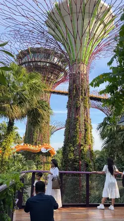 Singapore travel🇸🇬