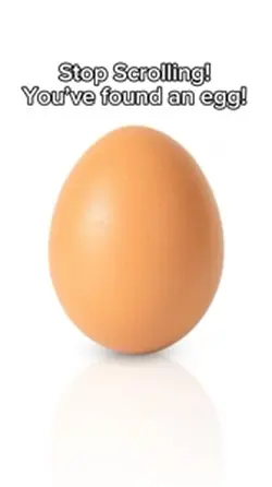 You’ve found an egg!