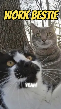 Work bestie 