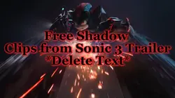 Shadow the Hedgehog 
