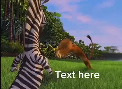 Madagascar meme 