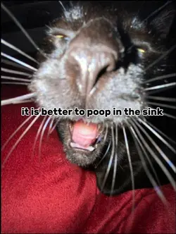 it is better to poop