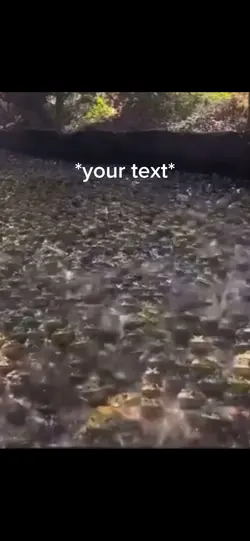 King of Frogs