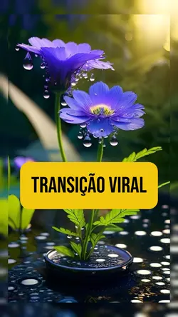 TransiΓ§Γ£o Viral
