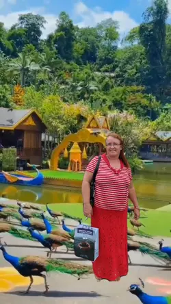 parque zoológico