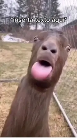 Chivo con lengua