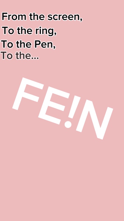 FEiN