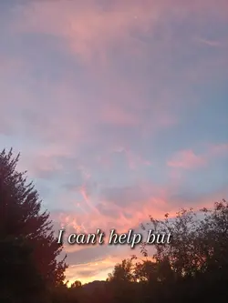 I can't help but